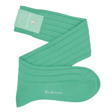 Load image into Gallery viewer, Astor